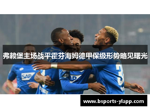 弗赖堡主场战平霍芬海姆德甲保级形势略见曙光