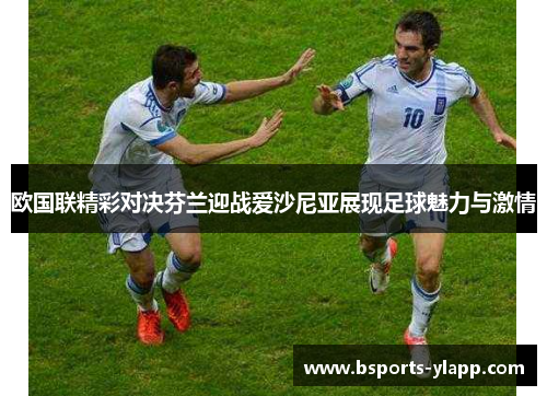 欧国联精彩对决芬兰迎战爱沙尼亚展现足球魅力与激情