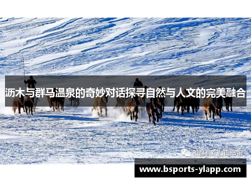 沥木与群马温泉的奇妙对话探寻自然与人文的完美融合