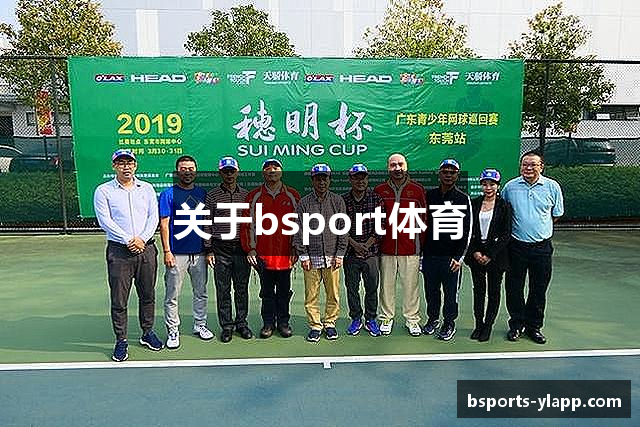 关于bsport体育